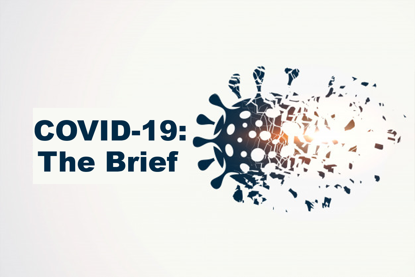 COVID-19: The Brief